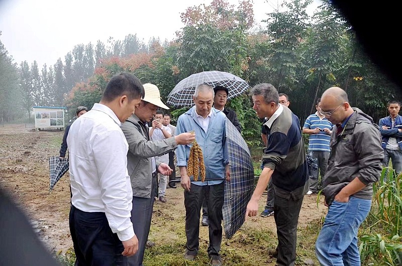 县域经济发展